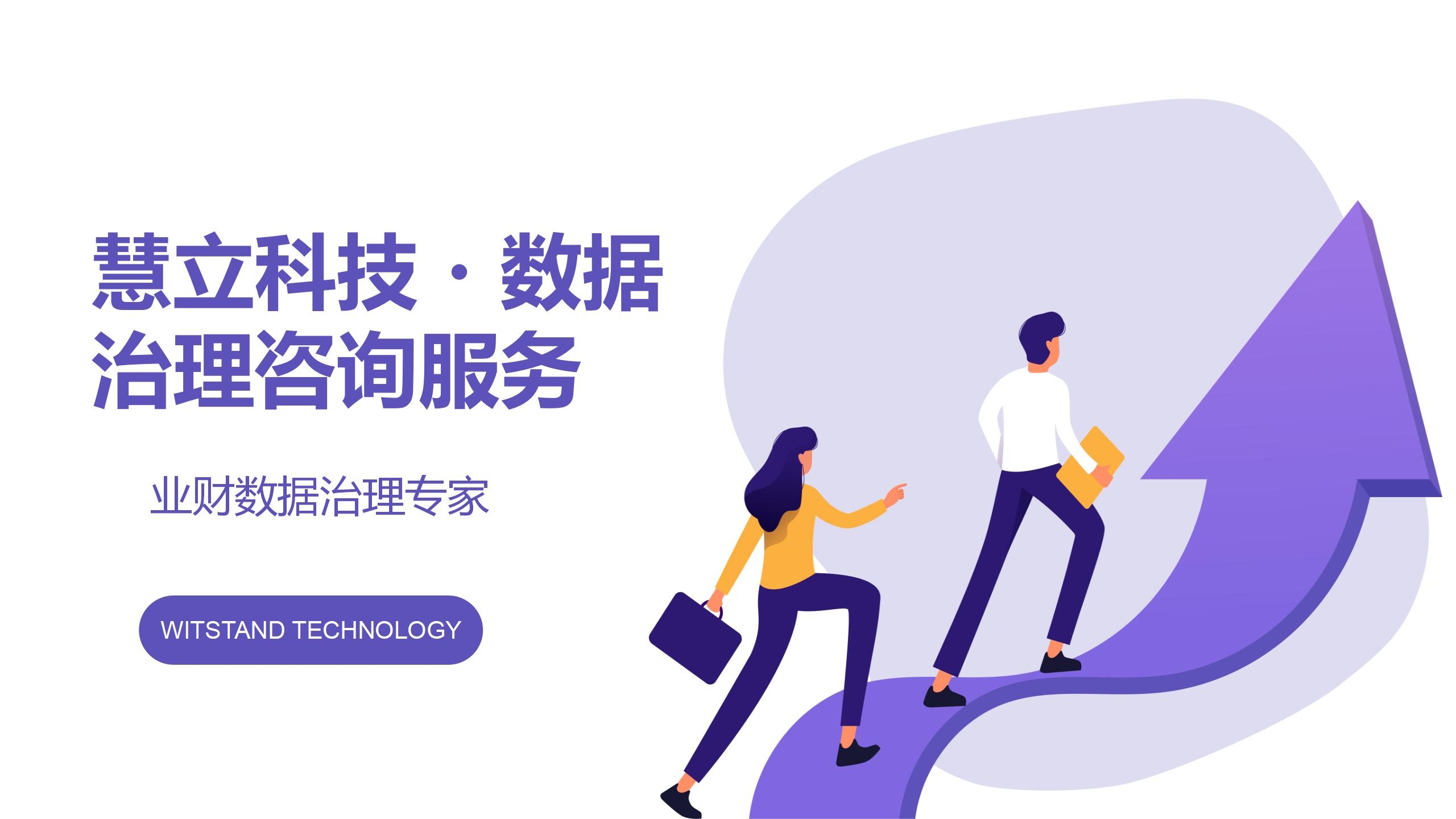慧立科技・数据治理咨询服务